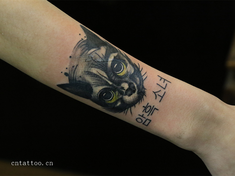 猫纹身图案